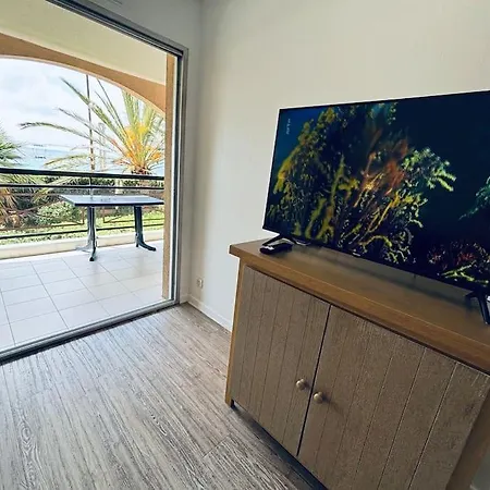 Appartement Le Palmier - Vue Mer - Piscine & Plages A 2min Cannes